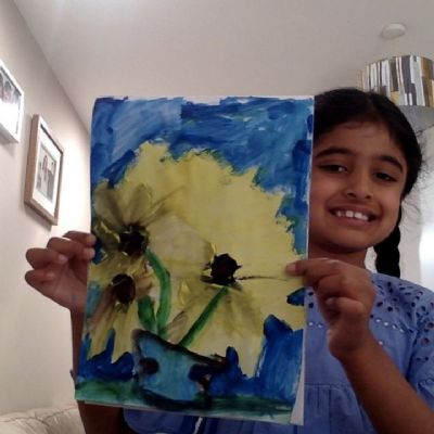 Shaan sunflowers